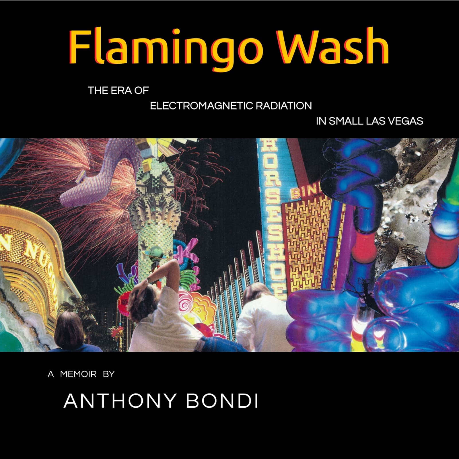 Audiobook cover of Flamingo Wash